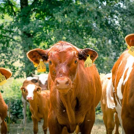 Ferienparadies Hugenhof * Simonswald